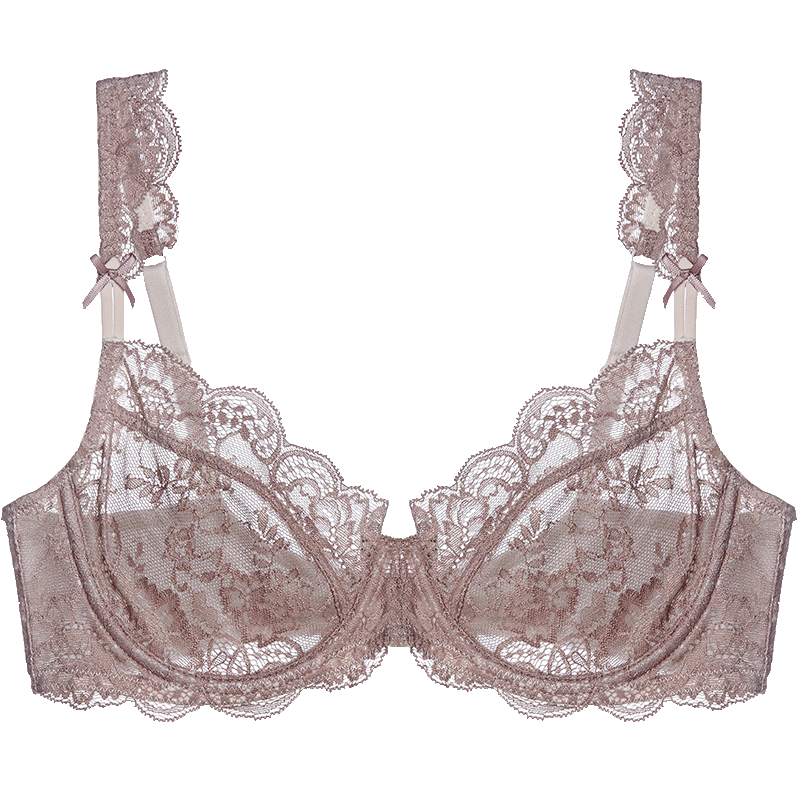 夏娃的诱惑音符组女士内衣女薄款性感蕾丝少女聚拢文胸舒适透气大码U型胸罩