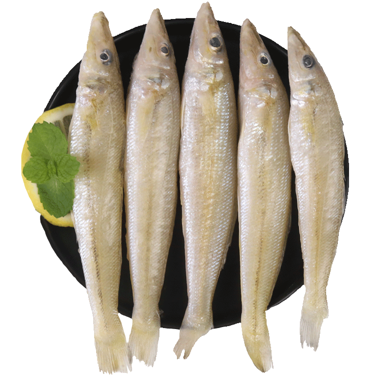 渔吻 沙丁鱼海捕新鲜冷冻海鱼深海鱼生鲜鱼类烧烤食材