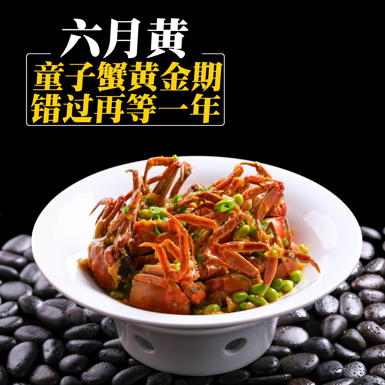 活蟹螃蟹大闸蟹螃蟹鲜活大闸蟹阳澄湖镇官方旗舰店特大现货