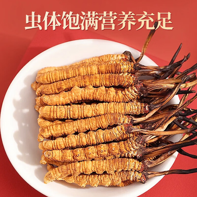 芝康纪冬虫夏草官方旗舰店正品特级虫草礼盒滋补营养品高端送礼送父母  （）