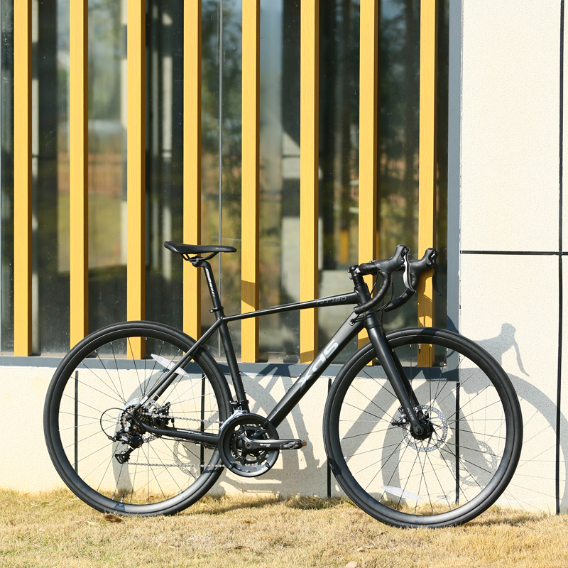  XDS/喜德盛 休闲代步 公路自行车 碟刹 变速