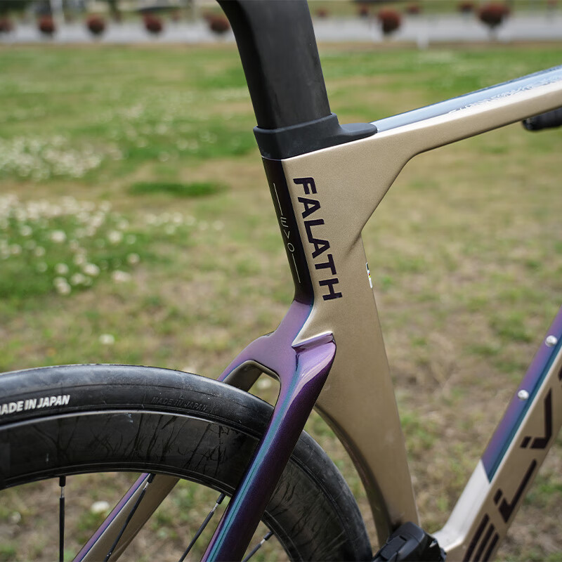ELVES精灵公路车 FALATH EVO+法拉斯EVO碟刹公路车架碳纤维公路车架 紫铜苔鲜绿+ 白色