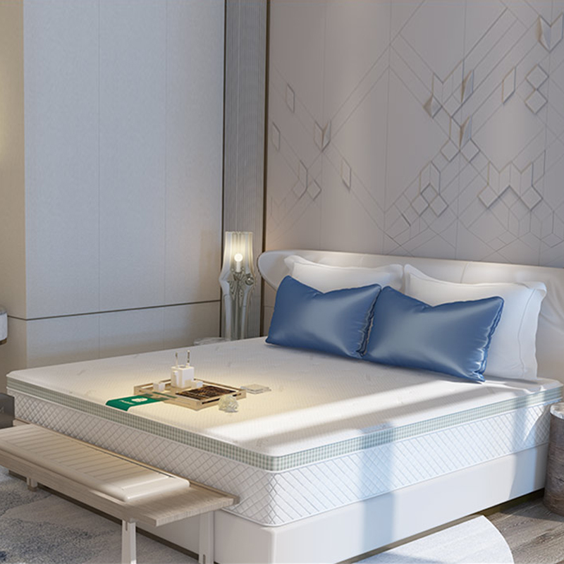 大自然 5E山棕床垫棕榈护脊家用席梦思 印象260