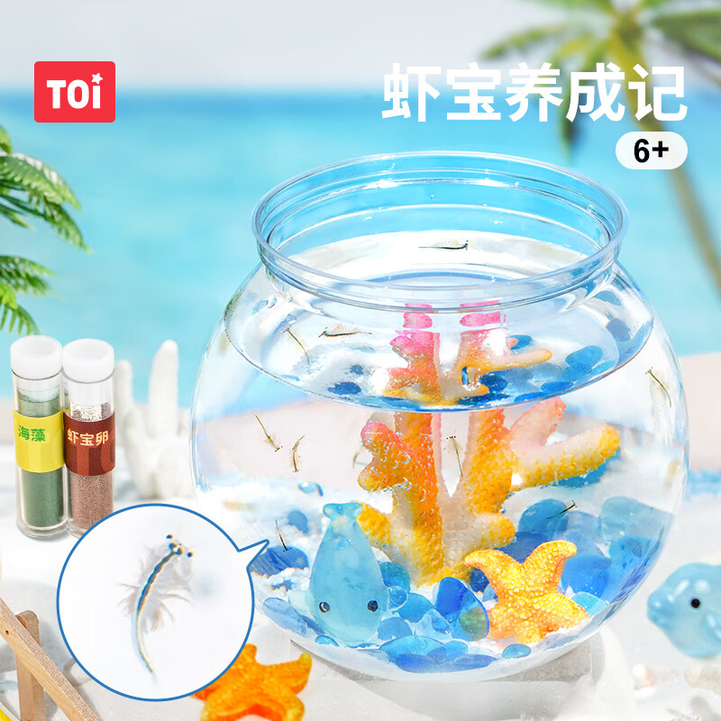 TOI虾宝养成记科学玩具养殖生命孵化观察玩具小实验套装 虾宝养成记