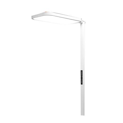 飞利浦（PHILIPS）立式护眼台灯家用LED全光谱类落地灯大路灯儿童卧室书房灯 H6