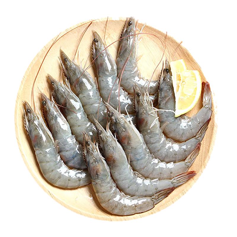 鲜京采 冰鲜大海白虾 300g 约12-18只
