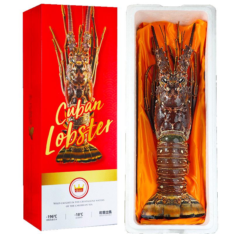 缤鲜 鲜冻古巴龙虾 2-2.5斤 大龙虾1只净重 年货海鲜礼盒-源头直发