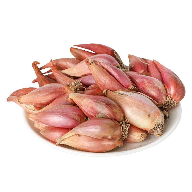 寿禾 四季红葱头小葱种子火葱头四川干皮春季蔬菜莱疏菜阳台种种籽 红葱头100g