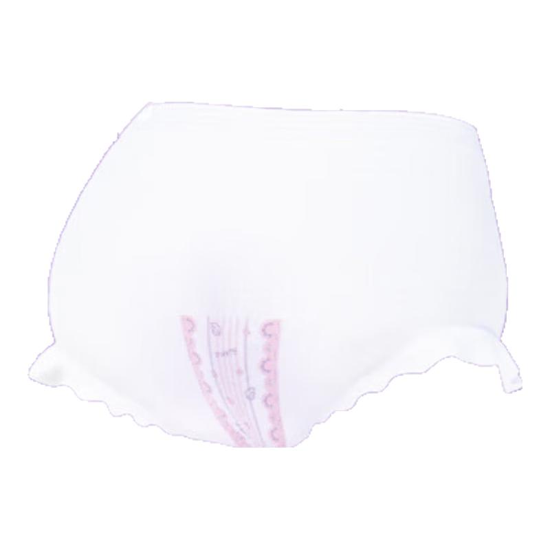 名典泰迪【源头直发】女性拉拉裤S-L码15条夜用量大防漏安睡裤型卫生巾【品牌直供 安心品质】 安心裤裤均码15条