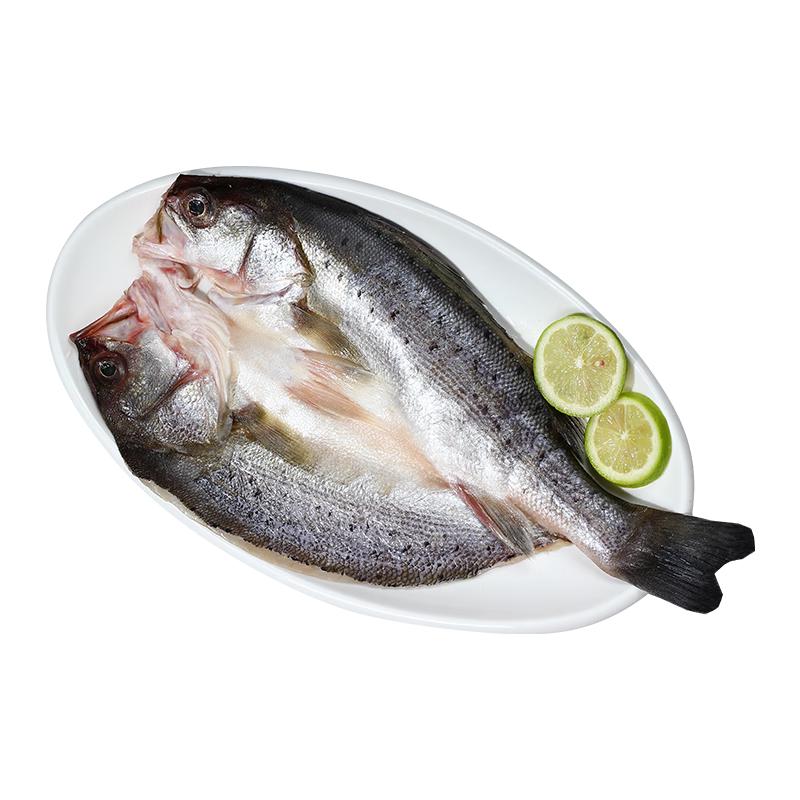 SuXian 速鲜 海鲈鱼 1条 350-400g