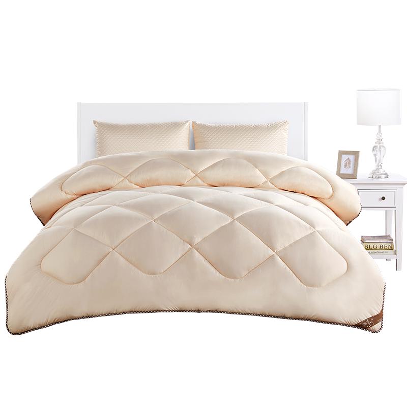 SOMERELLE 安睡宝 四孔冬被 抗菌双人被芯 四季通用被褥子 220X240cm 冬被（星月蓝）