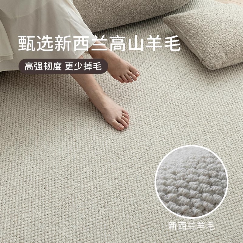 羊毛地毯客厅2025新款简约免洗可擦防水卧室地垫床边纯色轻奢高级