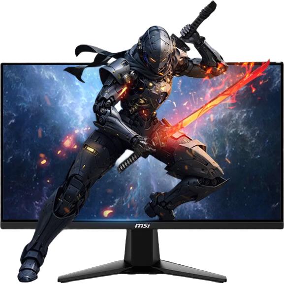 MSI 微星 MAG 255PXF 黑刃 24.5英寸 IPS G-sync FreeSync 显示器（1920×1080、300Hz、120％sRGB、HDR READY）