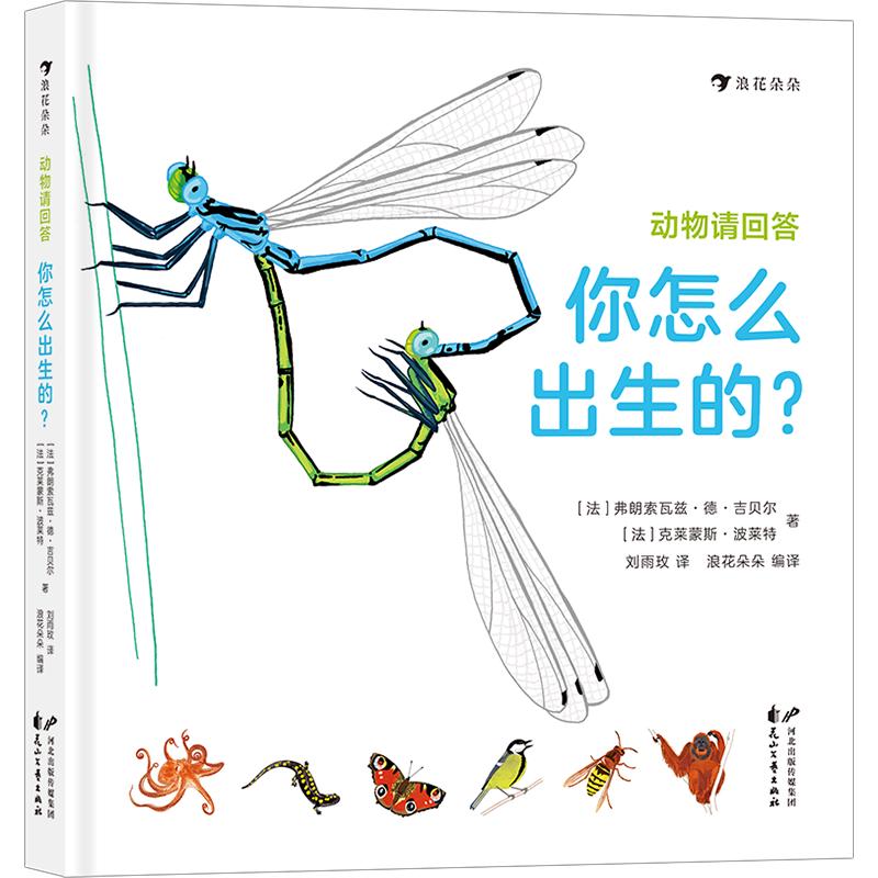 《动物请回答·你怎么出生的？》（精装）