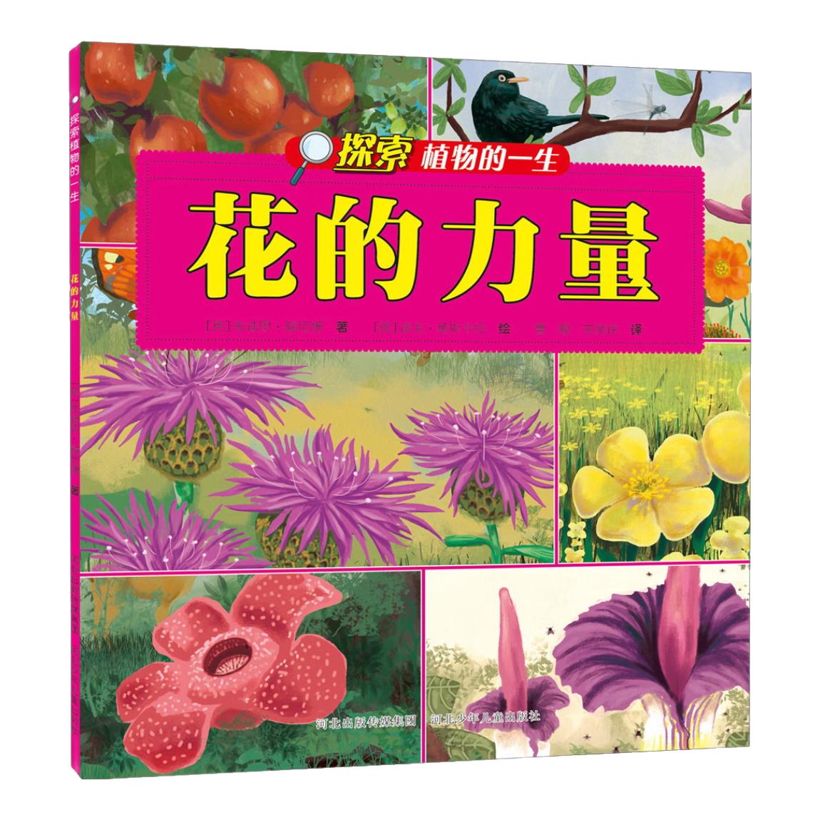 《探索植物的一生·花的力量》