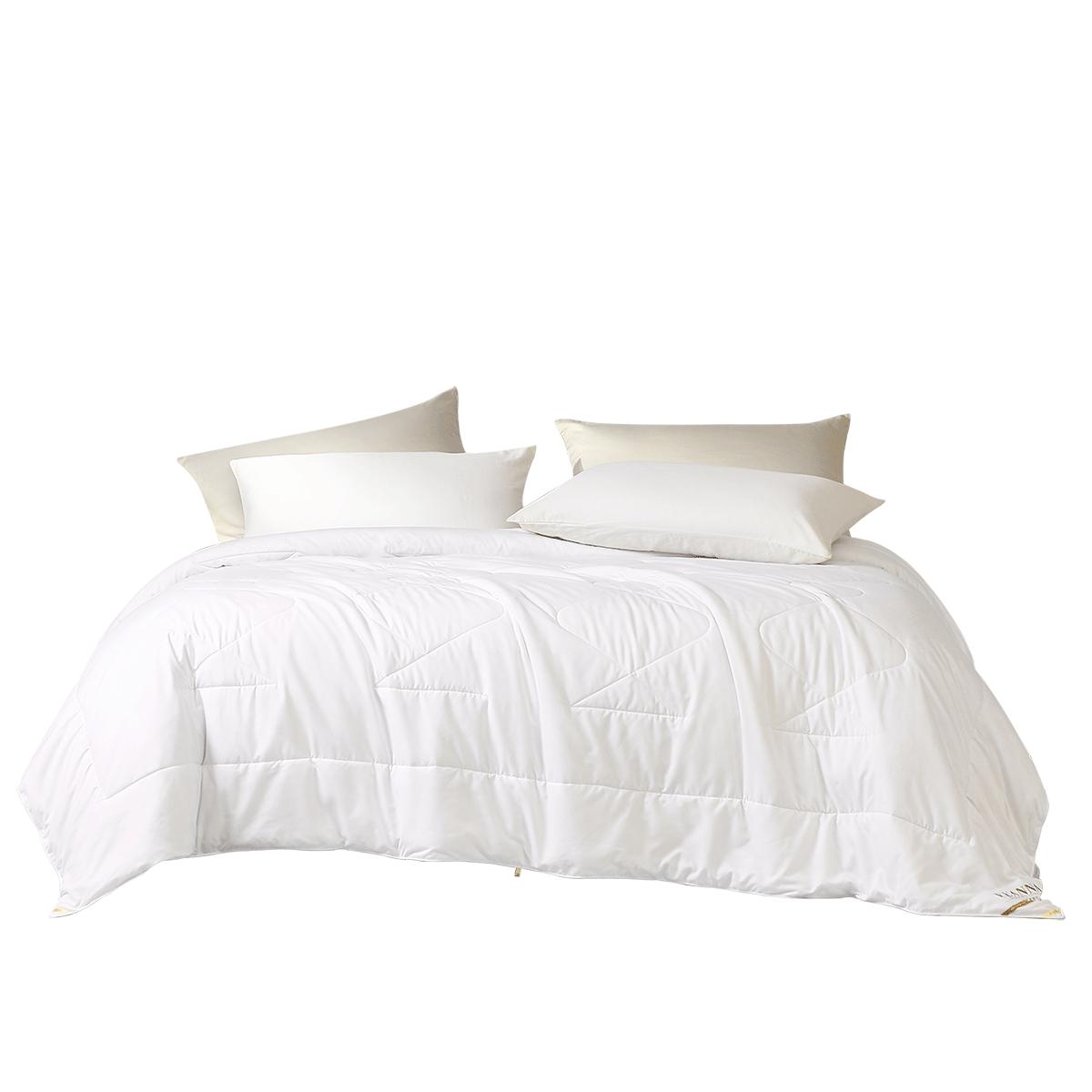 蚕丝被100%桑蚕丝被子四季通用提花被芯家用冬被宿舍