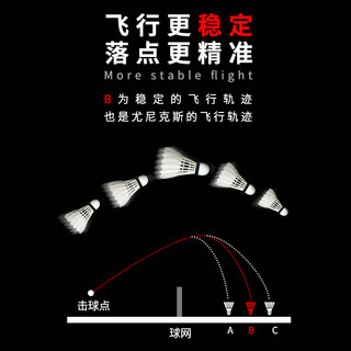 官网尤尼克斯yonex羽毛球12只yy专业训练比赛用耐打球AS05 03 02