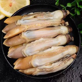 蛏王肉 4斤