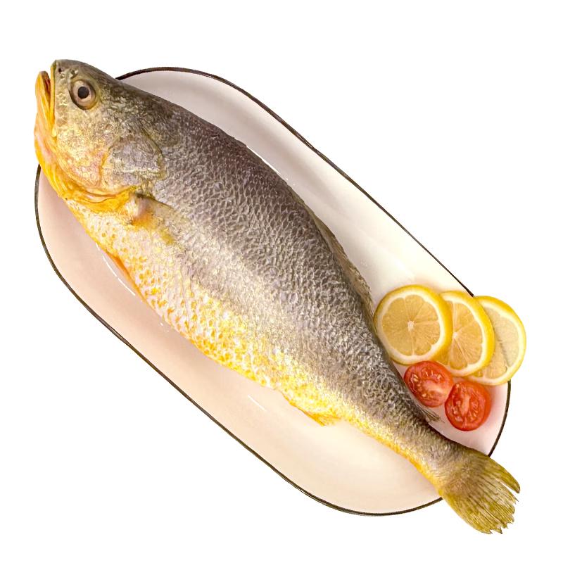 官井一号宁德冷冻三去黄花鱼净重600克(单条装) 大黄鱼 生鲜鱼类海鲜水产