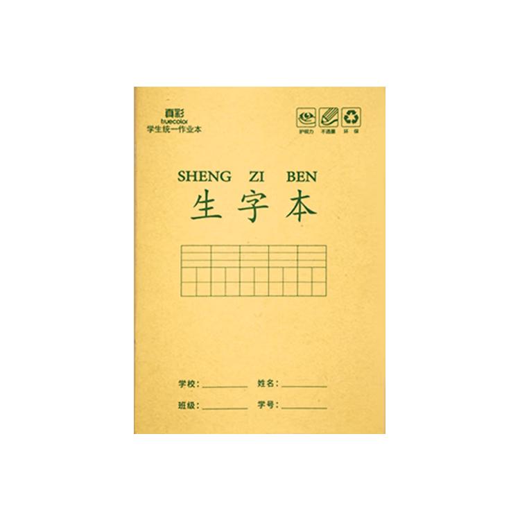 真彩（TRUECOLOR）36K作业本全国统一标准练习本生字本全套语写字本幼儿园练字一二年级抄书笔记本本子10本ZCW-1072