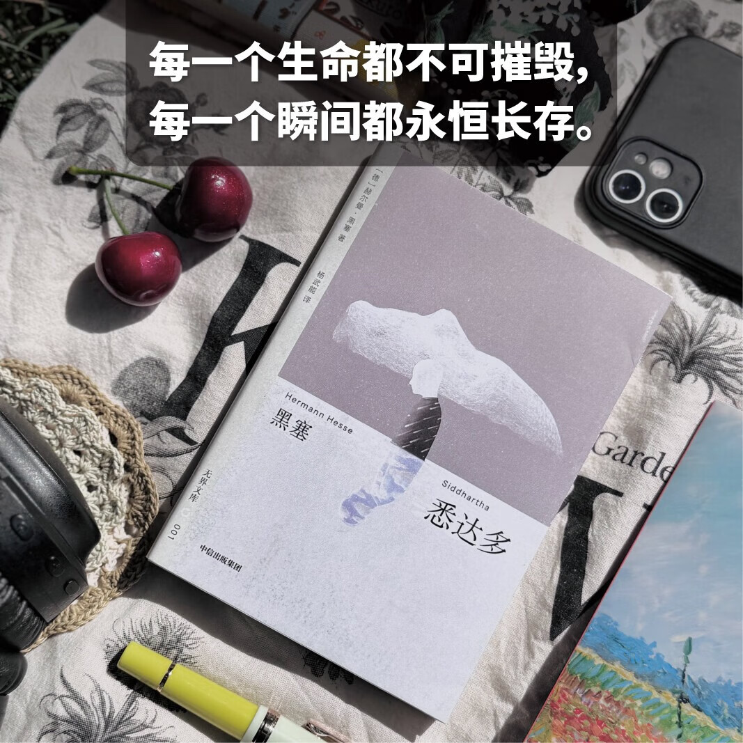 中信出版社 悉达多 地下室手记 窄门 罗生门 我是猫 红与黑 小妇人 傲慢与偏见 瓦尔登湖 漂亮朋友 人类群星闪耀时 月亮与六便士 全本未删节小说套装