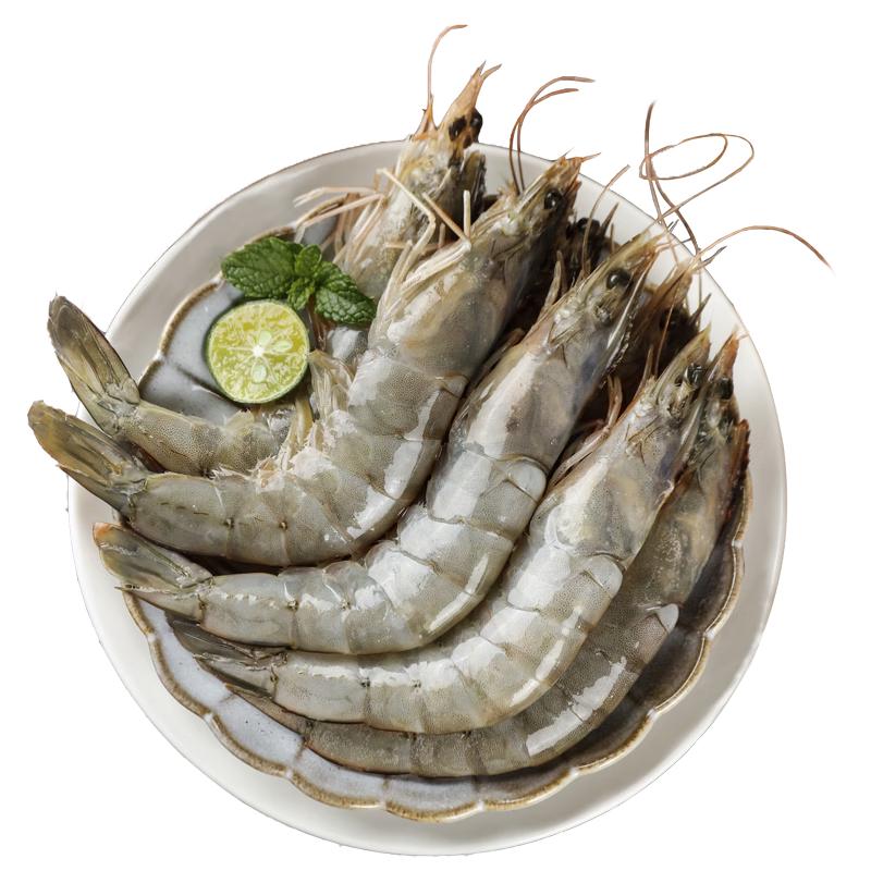 尚致虾 特大号青虾白虾海虾基围虾鲜活冷冻冰虾生鲜  【2.8- 3斤(净重)  】 【真正好货】