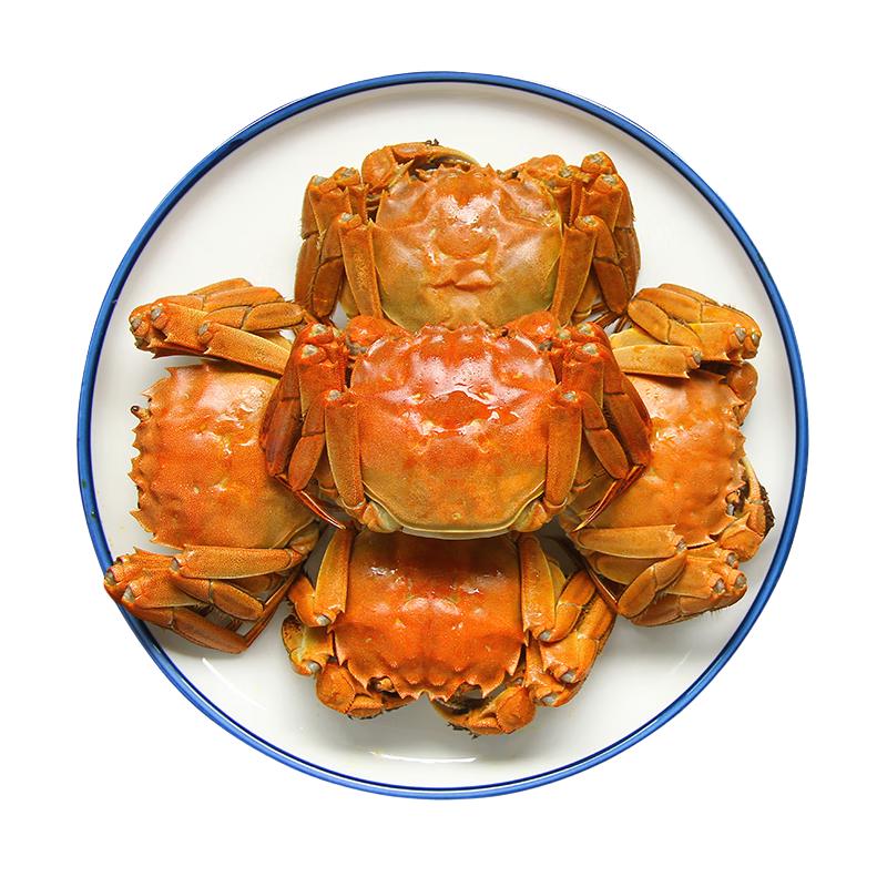 【活蟹】鲜京采  盘锦河蟹稻田蟹 全母蟹 15只 无绳足重 源头直发