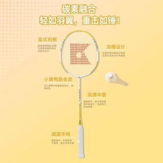 熏风初学者羽毛球拍复合碳素攻防均衡耐打男女入门单双拍