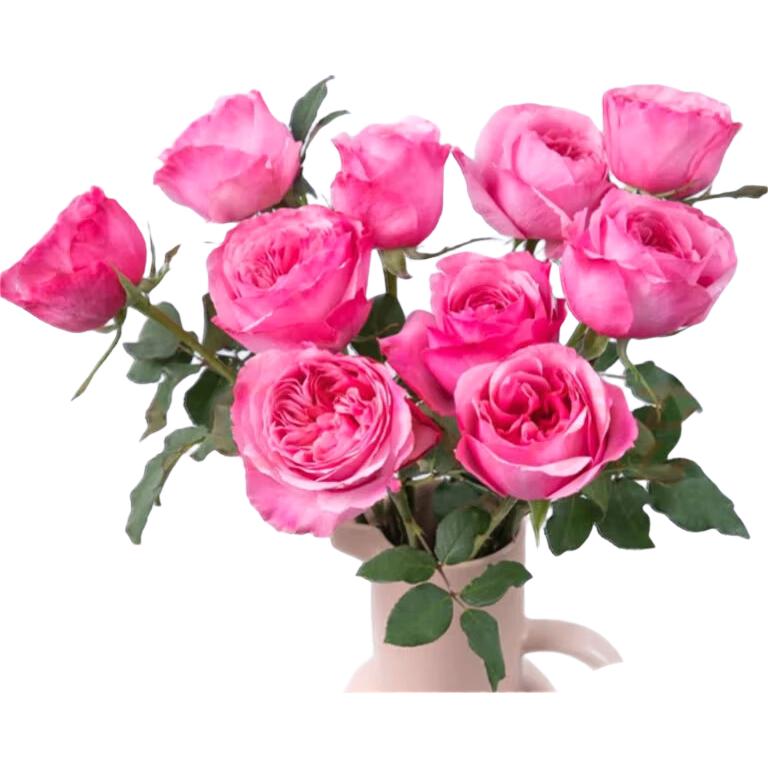 京东鲜花产地仓严选玫瑰颜色家庭插花玫瑰10枝 鲜花次日达