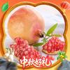 京鮮生 會理突尼斯軟籽石榴 凈重4.5斤