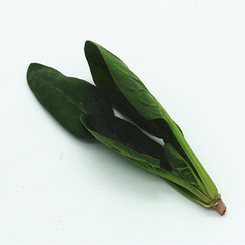 菠菜 嫩菠菜 蔬菜 新鲜 500克 500g