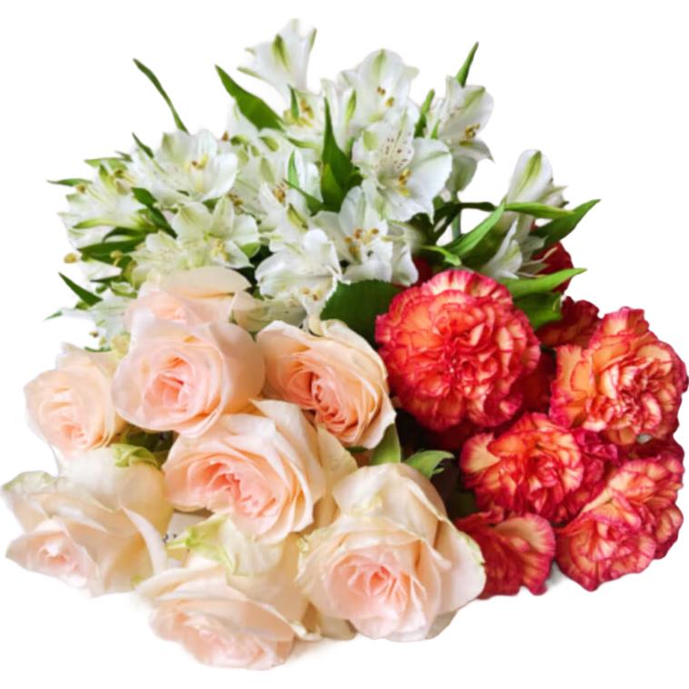 京东鲜花玫瑰10枝送10枝共20支色鲜花花束鲜切花源头直发