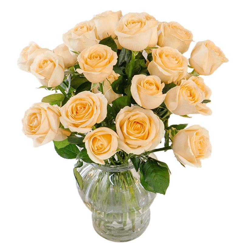 京东鲜花产地仓严选云南基地鲜花直发无土玫瑰买10枝送10枝生活鲜花