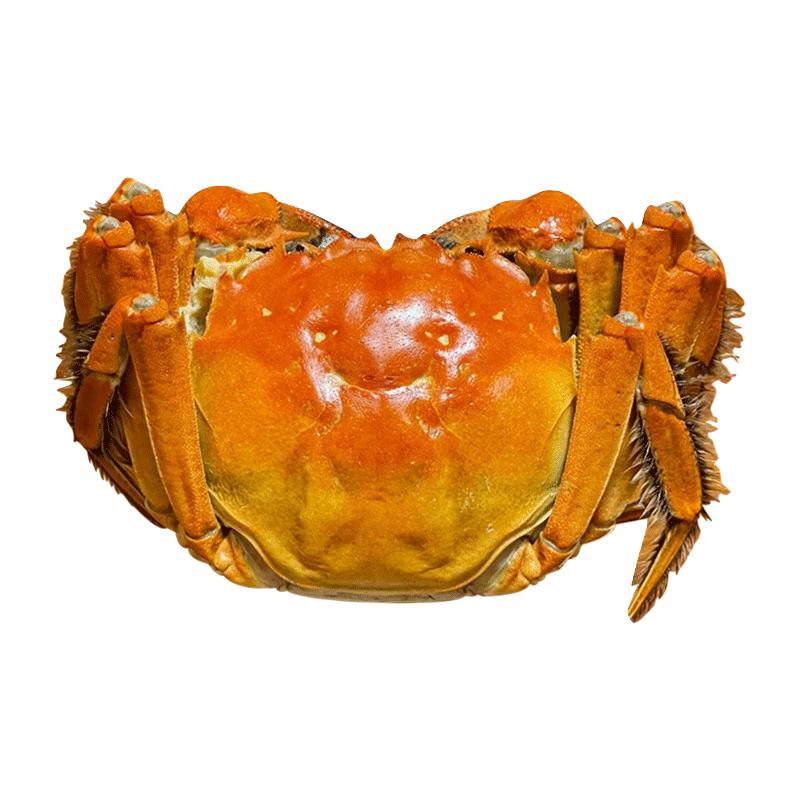 【活蟹】京觅 去绳足重鲜活生鲜螃蟹中秋礼品