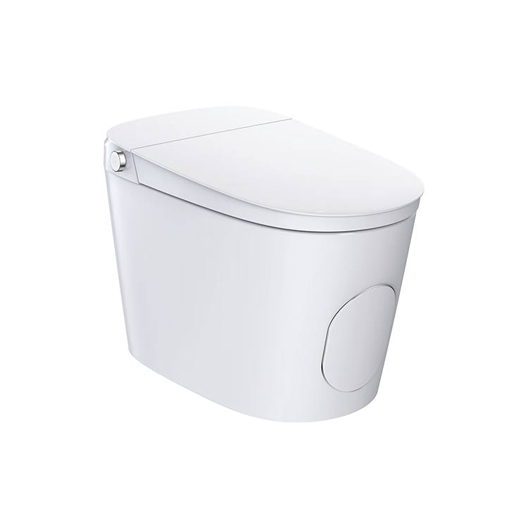 瑞尔特（R&T）新品首发AI健康马桶创新·健康芯尿液监测智能马桶 AI健康IX9-不支持七天无理由退货