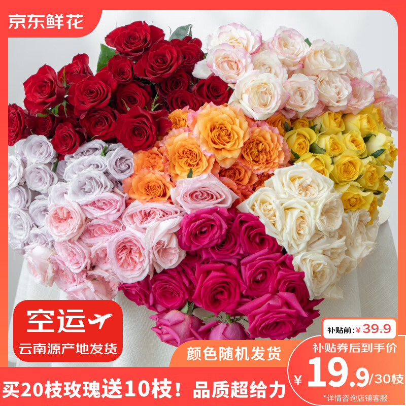京东鲜花玫瑰20枝送10枝共30枝色鲜花花束鲜切花源头直发
