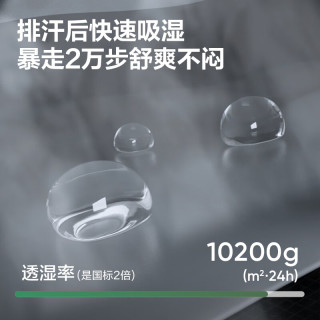 网易严选 高强透湿210g双面抓绒衣T恤打底衫抗静电防风透气保暖摇粒绒内搭 A款高强透湿圆领