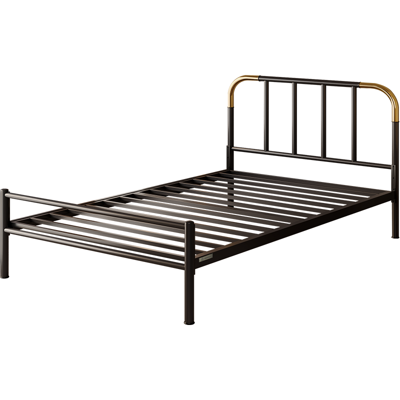 天坛家具铁艺床经典单双人钢木铁床现代环保简约小户型黑白色铁艺婚床 黑床+21cm弹簧床垫 1.5*2.0m