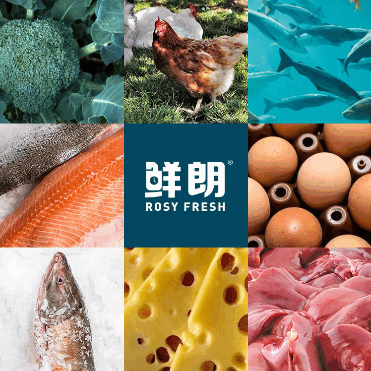 鲜朗鲜朗猫粮低温烘焙猫主粮全期全价单一鸡肉兔肉低敏配方无谷鲜肉 鸡肉-是换简单包装发货-介意别拍