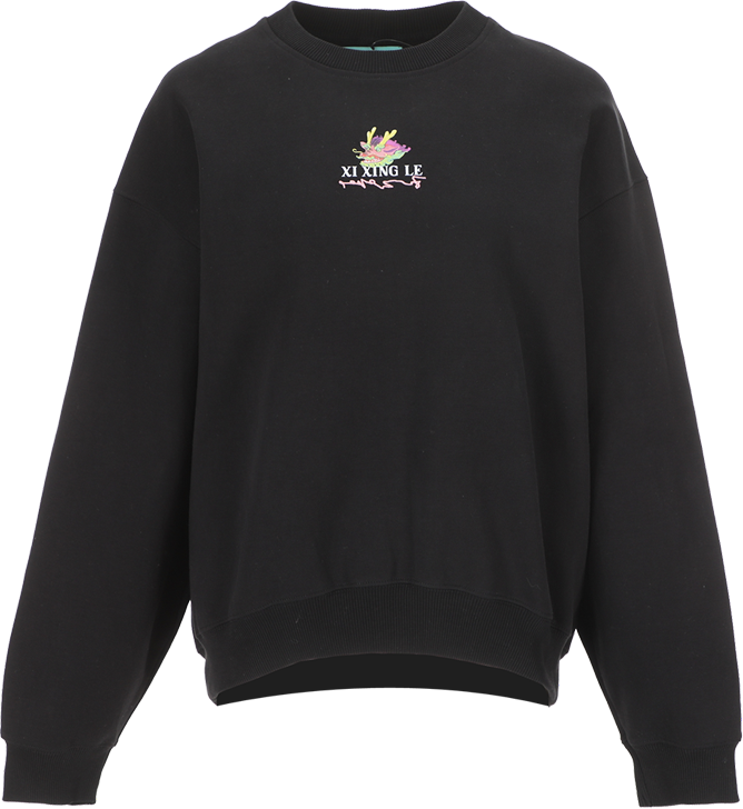 ZARA 【刺绣印花】女式印花显瘦日常通勤含棉舒适长袖圆领套头卫衣