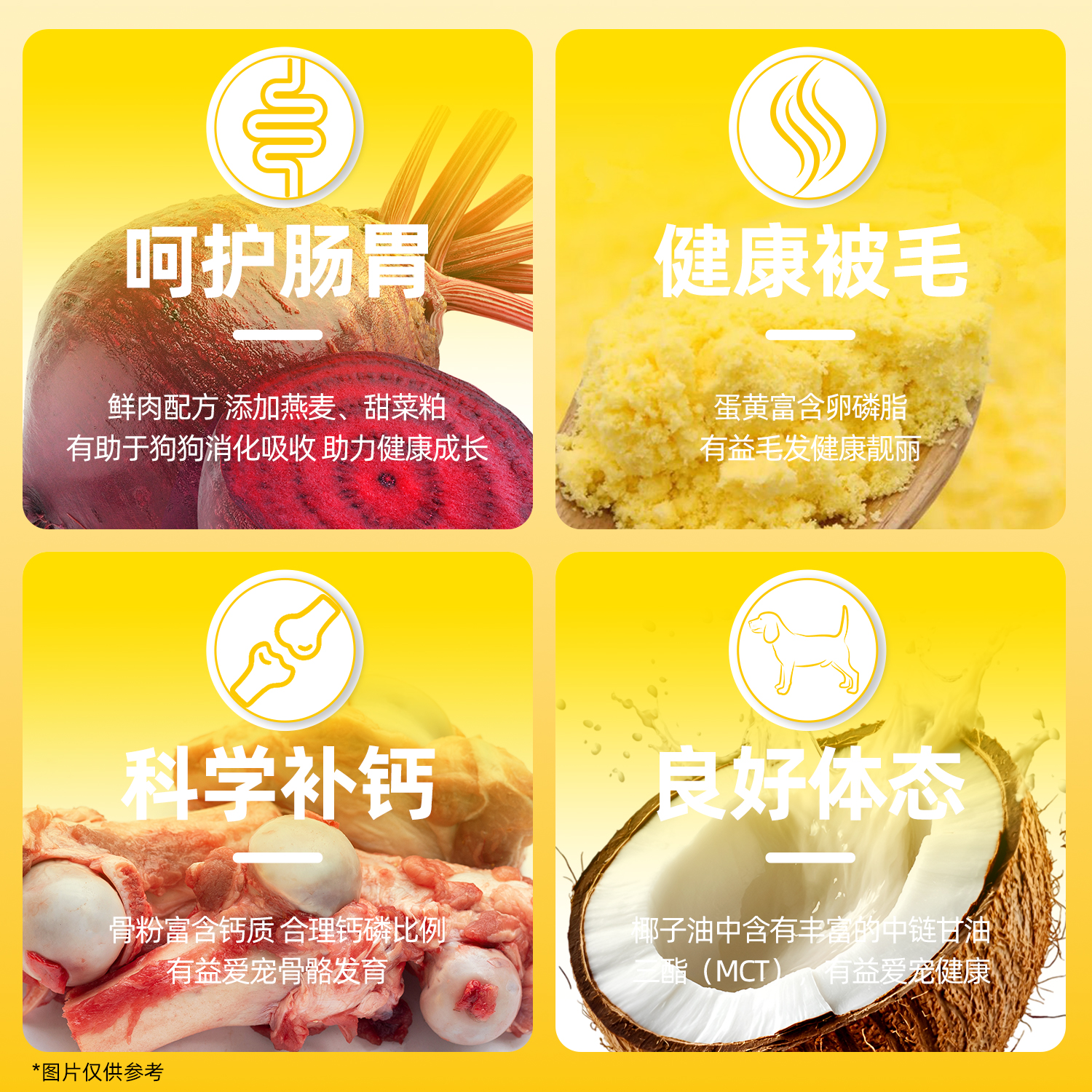 朗仕狗粮泰迪比熊雪纳瑞柯基通用型10斤郎仕小型犬幼犬天然粮5kg