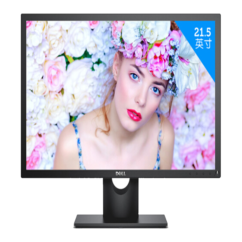 DELL 戴尔 17系列 E1715S 17英寸 TN 显示器（1280×1024、60Hz）