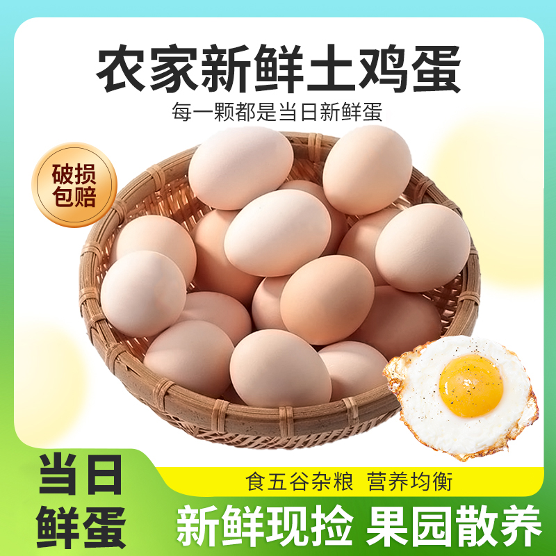 芮瑞 农家散养土鸡蛋 45g*12枚