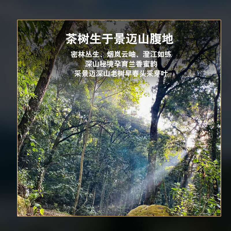 隆晨整箱14片2019年云南景迈山普洱茶生茶茶饼茶叶品质生普古树茶礼盒