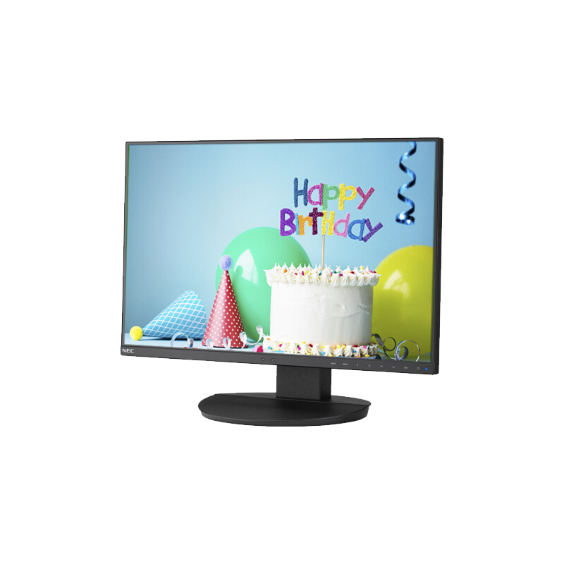 NEC 日电 EA241F-BK 24英寸 IPS 显示器 (1920×1080、60Hz、100%sRGB)