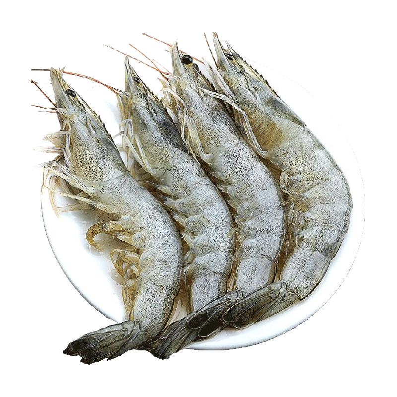 【直播】青岛大虾1500g*2盒无冰新鲜3040冷冻白虾海虾