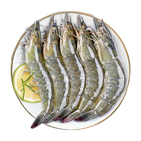 XIAN YAO 鱻谣 盐冻大虾白虾 40-50 净重1.5kg