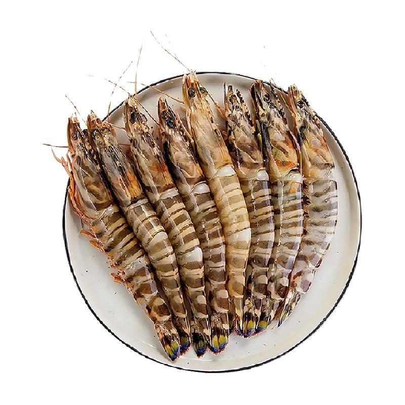 首鲜道 九节斑节虾超大竹节虾特大鲜活速冻海鲜黑虎虾