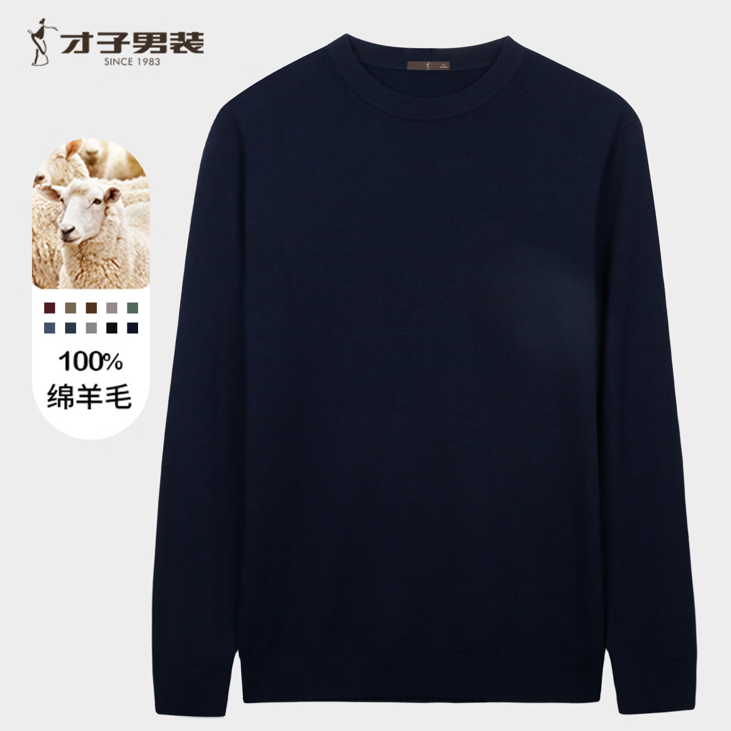 才子（TRIES）【100%纯羊毛】男士毛衣男秋冬圆领修身毛衫轻柔保暖针织打底衫 黑色 XL 50 (175/92A)