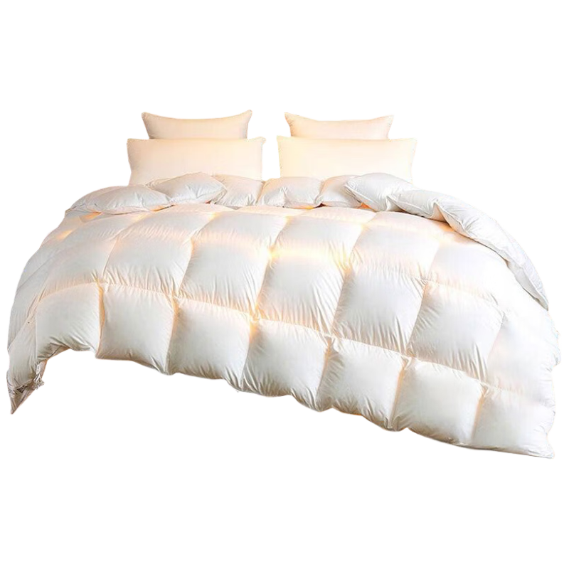 皇朝家私羽毛被 羽绒被子加厚冬保暖6斤200x230填充1800g